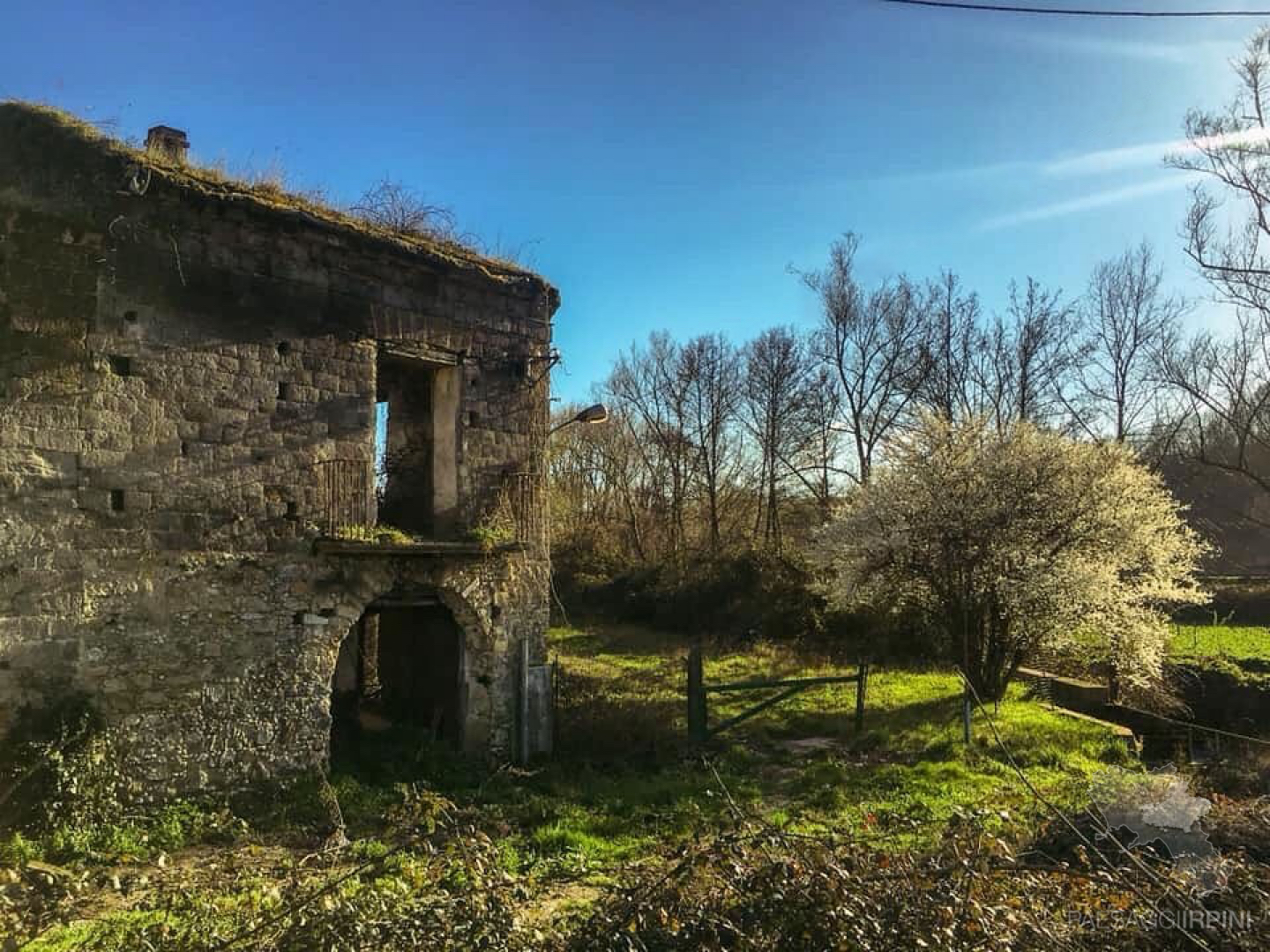 Cesinali 