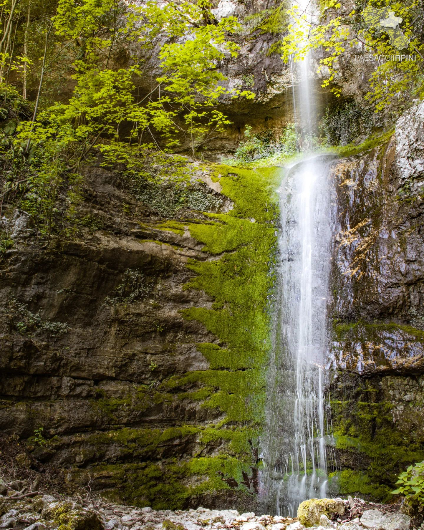 Quadrelle - Cascata del vallone Acquaserta