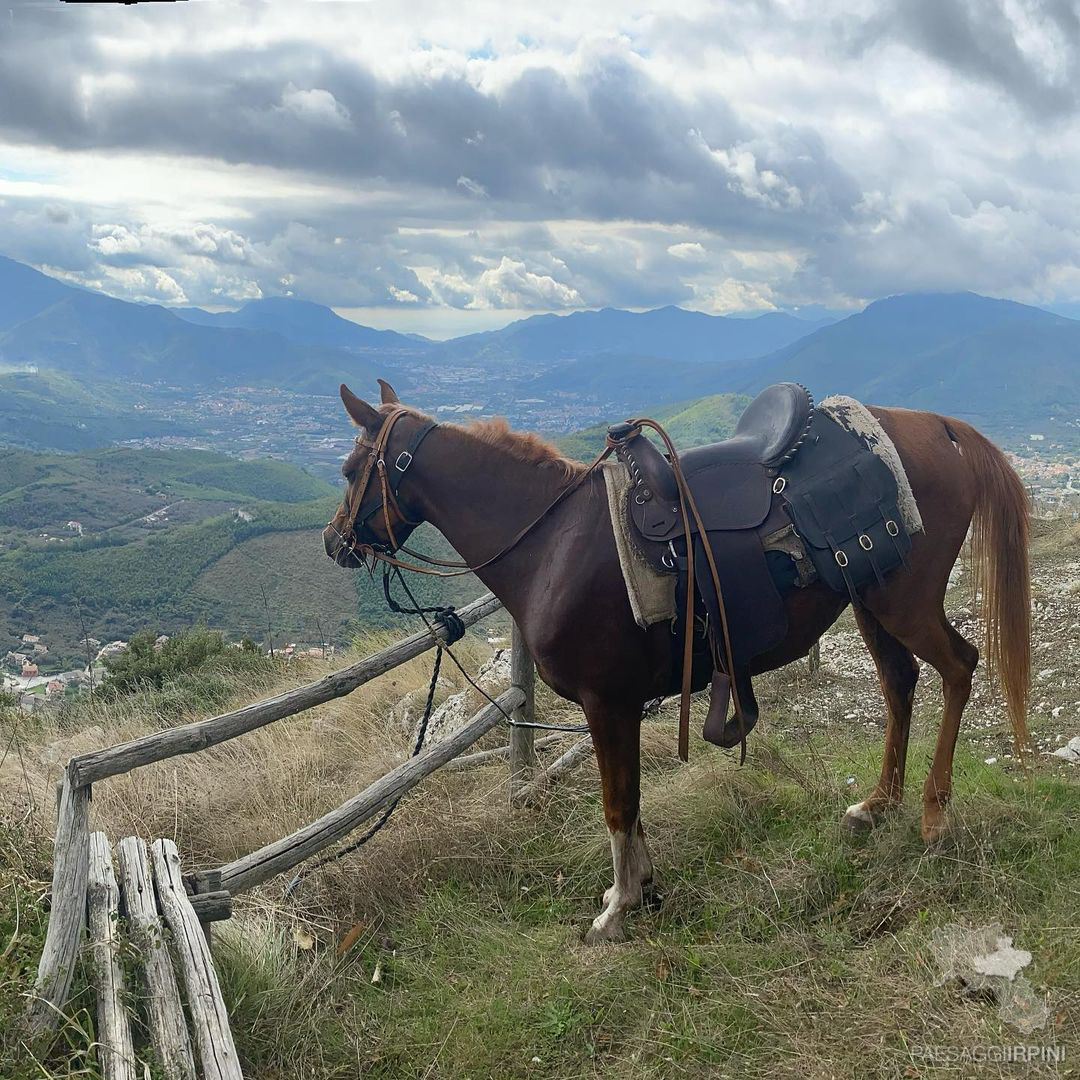 Contrada - Monte Faliesi