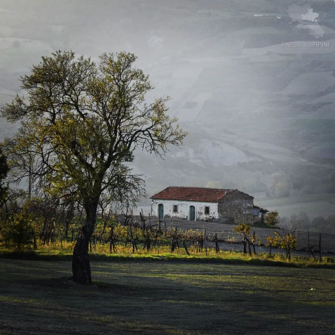 Melito Irpino 
