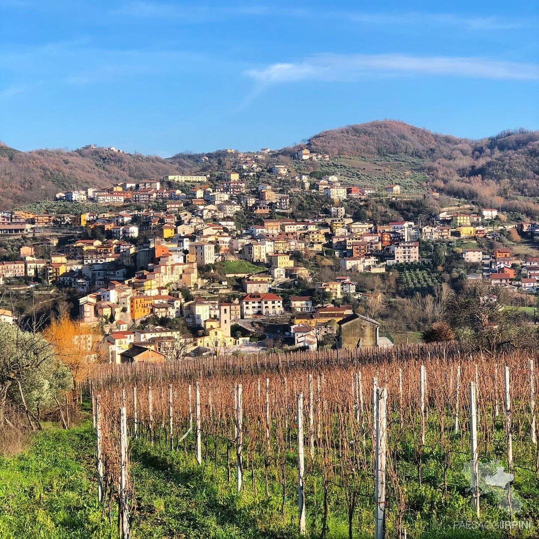 Castelfranci 